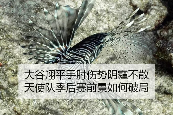 da-gu-xiang-ping-shou-zhou-shang-shi-yin-mai-bu-san-tian-shi-dui-ji-hou-sai-qian-jing-ru-he-po-ju-3-621.jpg
