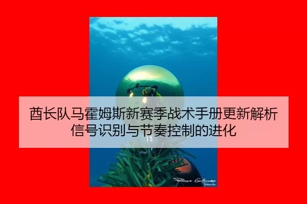 qiu-zhang-dui-ma-huo-mu-si-xin-sai-ji-zhan-shu-shou-ce-geng-xin-jie-xi-xin-hao-shi-bie-yu-jie-zou-kong-zhi-de-jin-hua-2-315.jpg