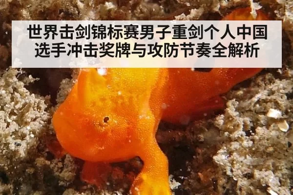 世界击剑锦标赛男子重剑个人中国选手冲击奖牌与攻防节奏全解析
